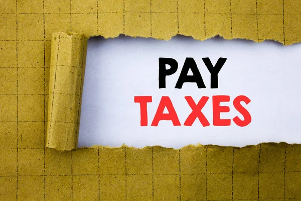 Pay Your Taxes